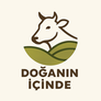 doganinicinde.com